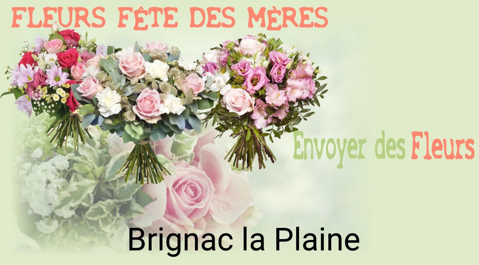 Bouquet de Fête des Mères livré à Brignac-la-Plaine