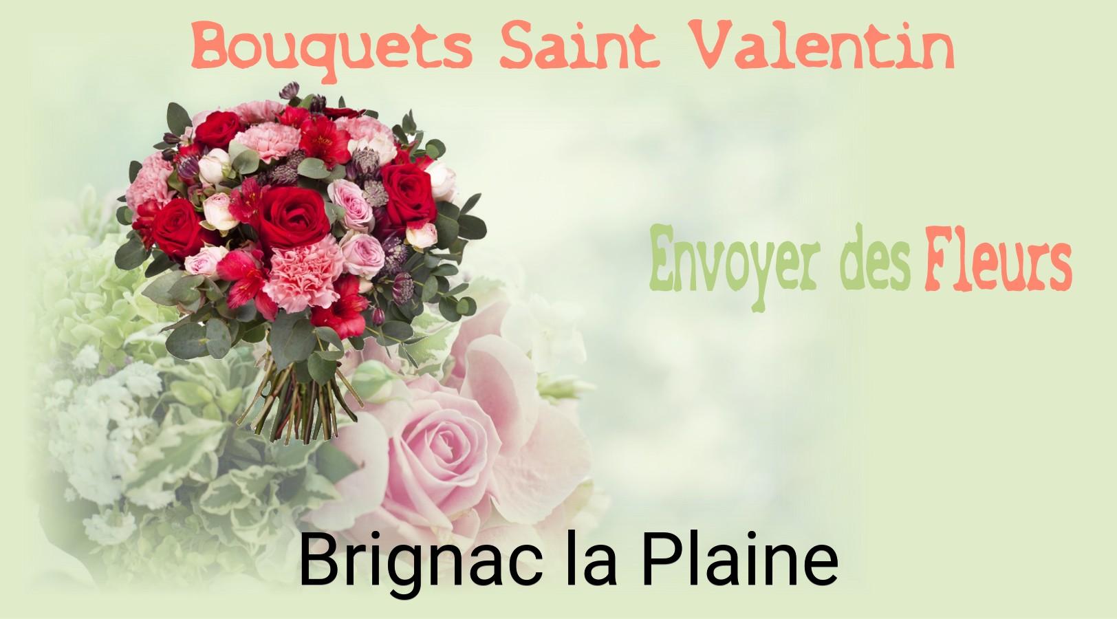 Roses de Saint-Valentin livrées à Brignac-la-Plaine