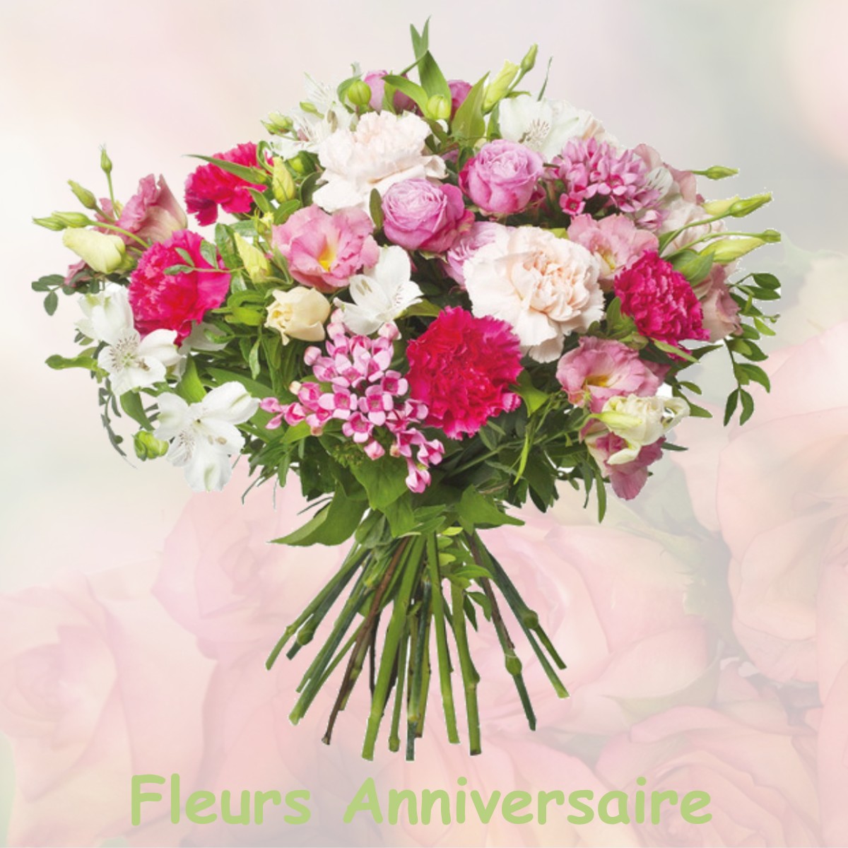 fleurs anniversaire BRIGNAC-LA-PLAINE